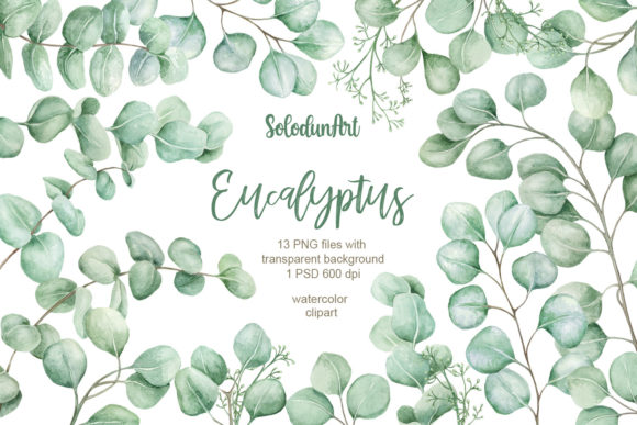 Download Watercolor Eucalyptus Clipart - Clipart Collection