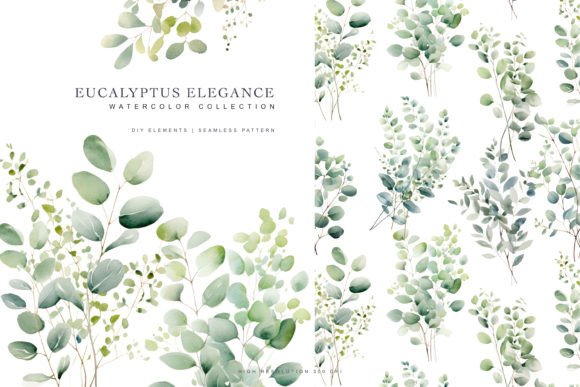 Download Watercolor Eucalyptus Clipart - Clipart Collection