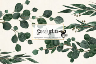 Download Eucalyptus Clipart - Clipart Collection