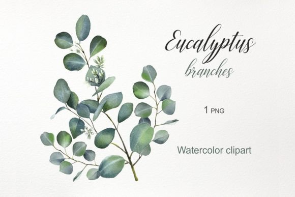 Download Watercolor Flowers. Eucalyptus Clipart - Clipart Collection