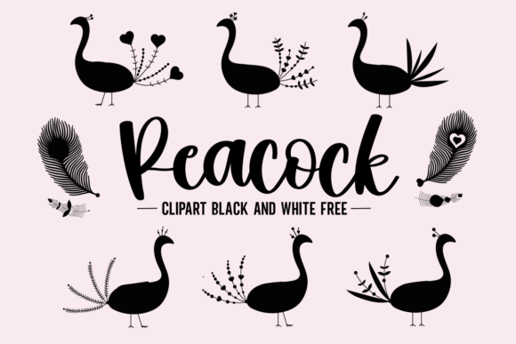 Download Peacock Clipart Black and White Free - Clipart Collection