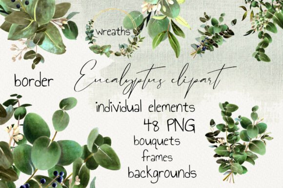 Download Eucalyptus Clipart Set PNG - Clipart Collection