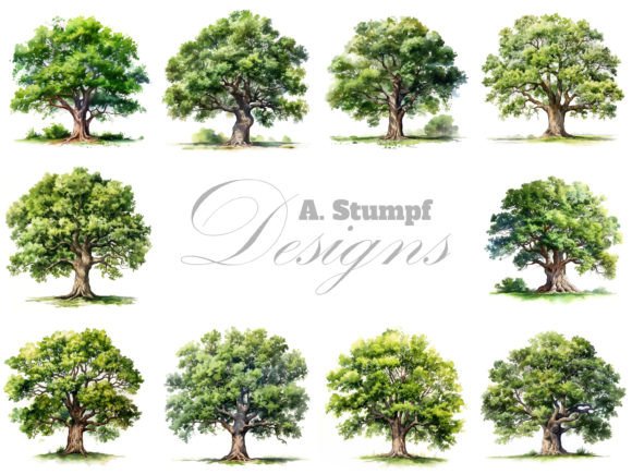 Download Oak Tree Watercolor Clipart Set - Clipart Collection