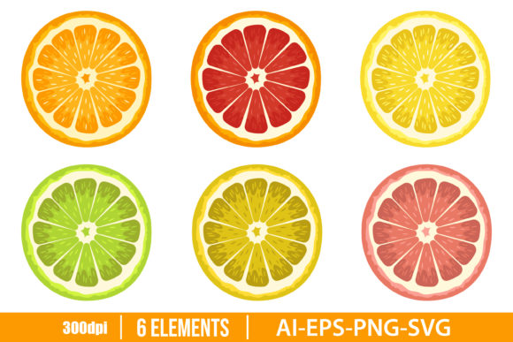Download Citrus Clipart Vector Design - Clipart Collection