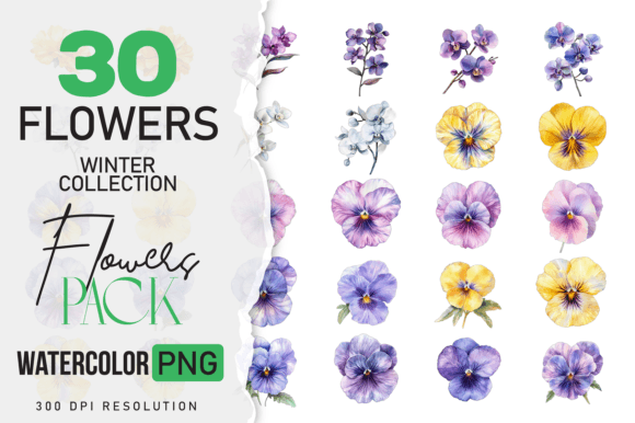 Download Watercolor Winter Flower &amp; Wildlife Pack - Color Collection