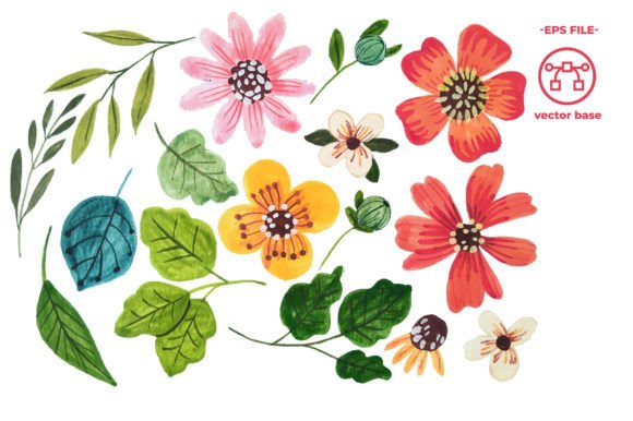 Download Watercolor Flower Elements - Color Collection