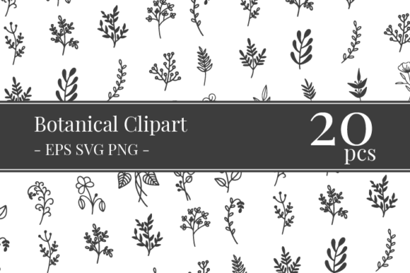 Download Botanical Clipart Bundle - Clipart Collection