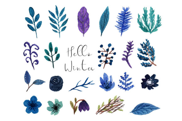 Download Hello Winter Flower Watercolor - Color Collection