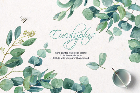 Download Watercolor Eucalyptus Clipart - Clipart Collection