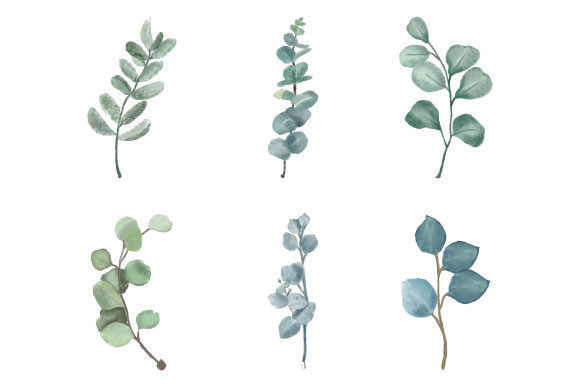 Download Watercolor Eucalyptus Clipart SVG PNG - Clipart Collection