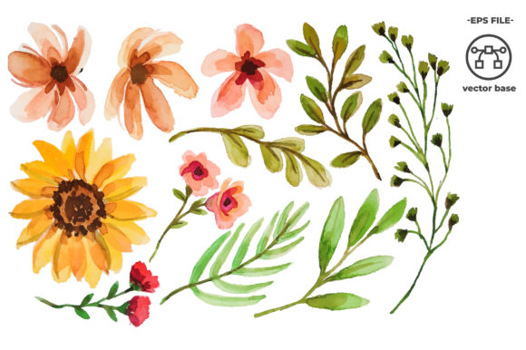 Download Watercolor Flower Elements - Color Collection