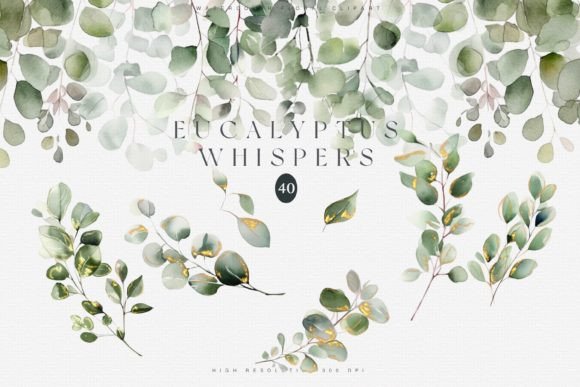 Download Watercolor Eucalyptus Clipart Set - Clipart Collection