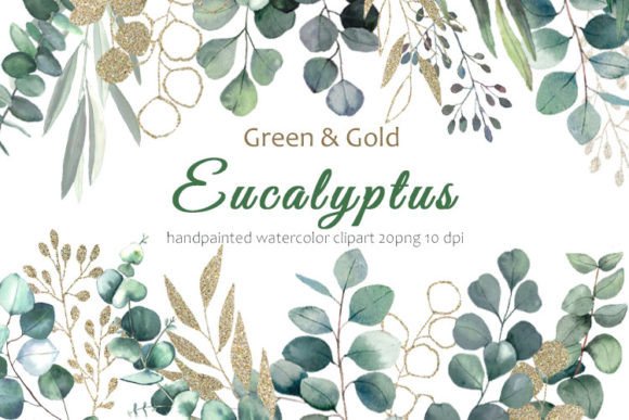 Download Eucalyptus Clipart. Eucalyptus Leaves - Clipart Collection