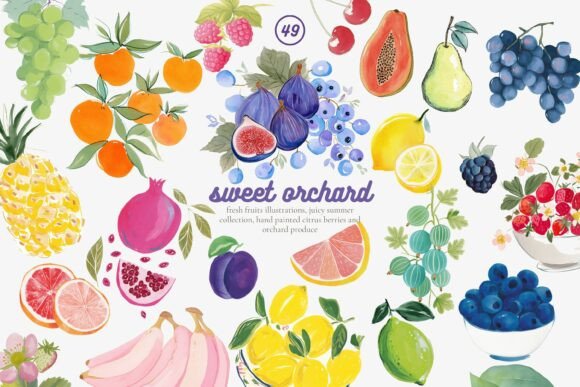 Download Fruit Watercolor Clipart Set - Clipart Collection
