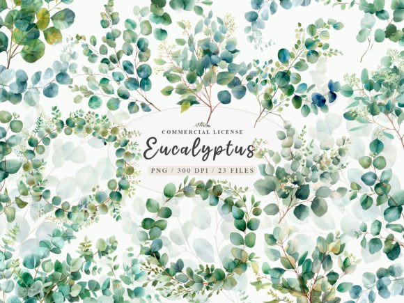 Download Eucalyptus Bundle, Eucalyptus Clipart - Clipart Collection