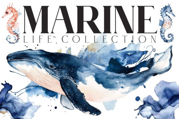 Download Marine Life Watercolor - Premium Resources