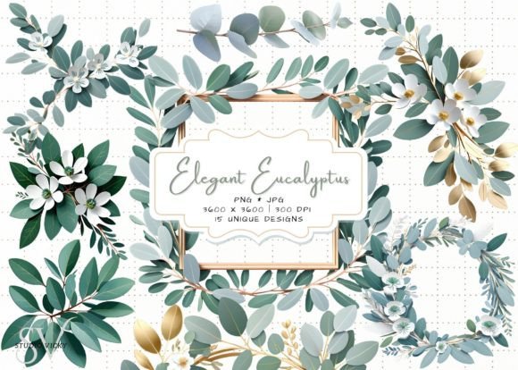 Download Elegant Eucalyptus Clipart - Clipart Collection