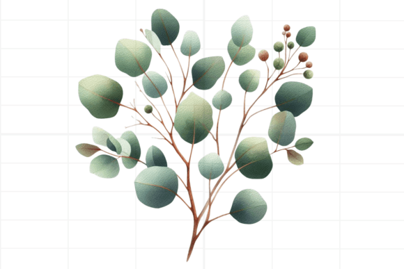 Download Eucalyptus Clipart. Watercolor Greenery - Clipart Collection